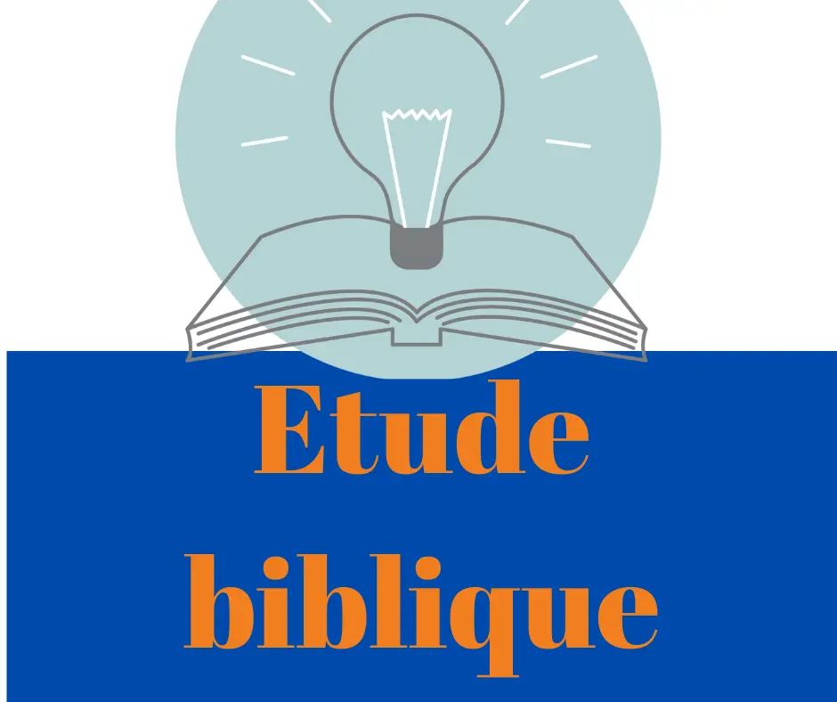 Ouvrages portant sur les commentaires, les analyses et études approfondies sur les livres de la bible, ainsi que des ouvrages sur la méthode d'interprétation  biblique.